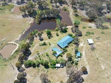 Mixed Farming Auction - NSW - Bethungra - 2590 - 100acs* With Scenic Views Of The Bethungra Hills  (Image 2)