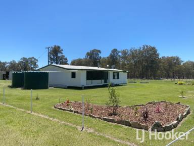 Lifestyle For Sale - NSW - Inverell - 2360 - 'IronRidge' - 121 Acres, 28km from Inverell  (Image 2)