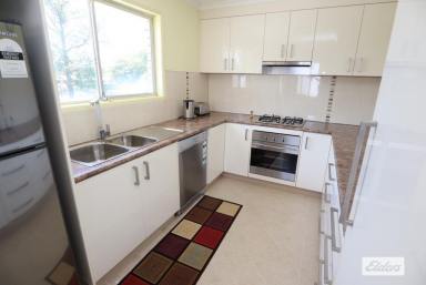 House For Sale - QLD - Laidley - 4341 - Large Family home on a Huge 1166 sqm block  (Image 2)