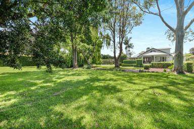 House For Sale - NSW - Berry - 2535 - Spacious Block, Rare Opportunity  (Image 2)