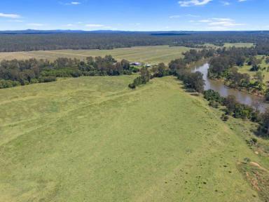 Lifestyle For Sale - QLD - Tiaro - 4650 - PRIME MARY RIVER COUNTRY  (Image 2)