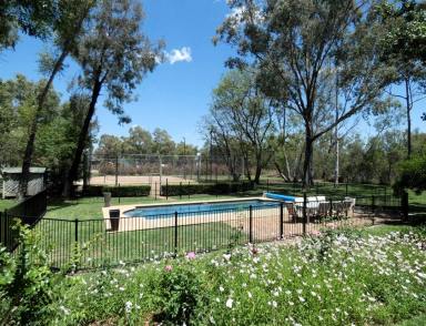 House Auction - NSW - Moree - 2400 - "Sorrento" circa 1910 - 2.5 Ha  (Image 2)