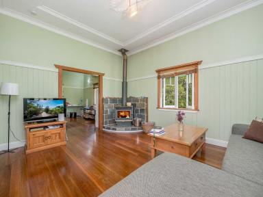 Mixed Farming For Sale - NSW - Bora Ridge - 2471 - 190 ACRES - DWELLING AND 2ND DWELLING OPPORTUNITY  (Image 2)