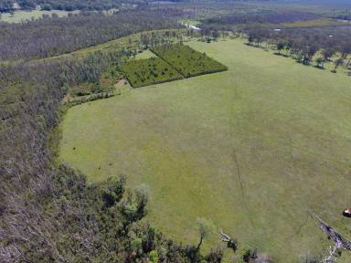 Mixed Farming For Sale - NSW - Bora Ridge - 2471 - 190 ACRES - DWELLING AND 2ND DWELLING OPPORTUNITY  (Image 2)