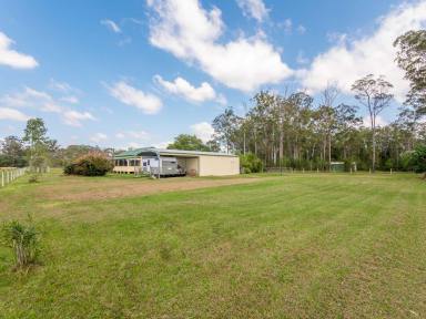 Mixed Farming For Sale - NSW - Bora Ridge - 2471 - 190 ACRES - DWELLING AND 2ND DWELLING OPPORTUNITY  (Image 2)