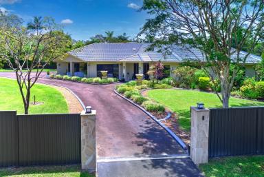 House For Sale - QLD - Cooroy - 4563 - Luxurious 4-Bedroom Family Estate on 2.5 Acres With Pool, Shed and Complete Privacy in Cooroy  (Image 2)