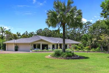 House For Sale - QLD - Cooroy - 4563 - Luxurious 4-Bedroom Family Estate on 2.5 Acres With Pool, Shed and Complete Privacy in Cooroy  (Image 2)