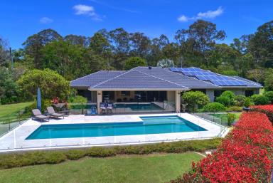 House For Sale - QLD - Cooroy - 4563 - Luxurious 4-Bedroom Family Estate on 2.5 Acres With Pool, Shed and Complete Privacy in Cooroy  (Image 2)