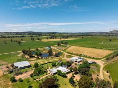 Mixed Farming For Sale - VIC - Glenrowan West - 3675 - PREMIUM LIFESTYLE AND PRODUCTIVE AGRICULTURAL OFFERING  (Image 2)