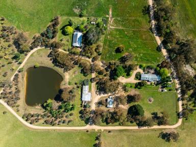 Livestock For Sale - VIC - Pastoria - 3444 - HIGHLY PRODUCTIVE LIVESTOCK GRAZING OPERATION  (Image 2)