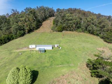 Residential Block For Sale - NSW - Tarraganda - 2550 - TARRAGANDA VACANT LAND  (Image 2)