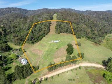 Residential Block For Sale - NSW - Tarraganda - 2550 - TARRAGANDA VACANT LAND  (Image 2)