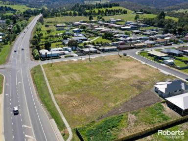 Residential Block For Sale - TAS - Bagdad - 7030 - Exciting New Vineyard Estate - Great Rural Setting, Titled & Ready to Build your Forever Home  (Image 2)