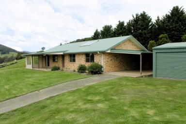 Mixed Farming For Sale - NSW - Megan - 2453 - 'Valleyrose South'  (Image 2)