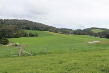 Mixed Farming For Sale - NSW - Megan - 2453 - 'Valleyrose East'  (Image 2)