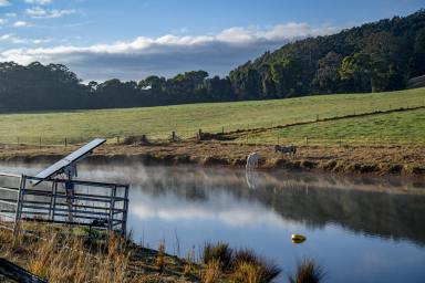 Mixed Farming For Sale - NSW - Megan - 2453 - 'Valleyrose East'  (Image 2)