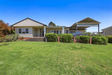 House For Sale - NSW - Tumut - 2720 - Premier property with the best views in town!  (Image 2)