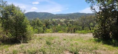 Residential Block For Sale - QLD - Boolboonda - 4671 - Twenty Acre Block in Boolboonda Qld  (Image 2)