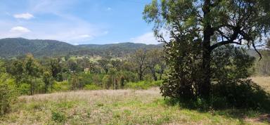 Residential Block For Sale - QLD - Boolboonda - 4671 - Twenty Acre Block in Boolboonda Qld  (Image 2)