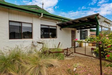 House For Sale - NSW - Surf Beach - 2536 - Spacious 4 bedroom Home, Walk to the Beach  (Image 2)