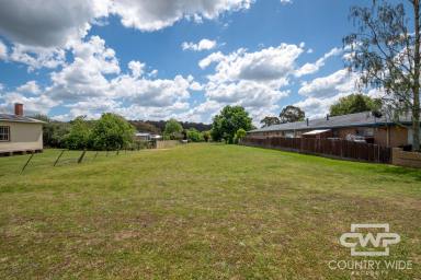 Residential Block For Sale - NSW - Glen Innes - 2370 - Prime Development Opportunity in a Desirable Location  (Image 2)