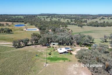 Mixed Farming For Sale - NSW - Inverell - 2360 - Premium Lifestyle, Productive Agricultural Offering  (Image 2)