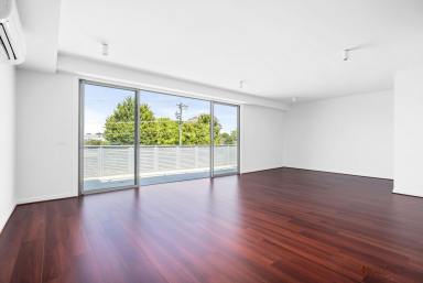 Apartment Leased - VIC - Mentone - 3194 - LARGE AND SPACIOUS | NEWLY RENOVATED | PLUS STUDY  (Image 2)