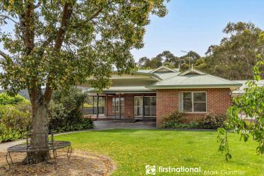 House For Sale - VIC - Healesville - 3777 - Secluded Yarra Valley Retreat on Approx 70 Acres!  (Image 2)