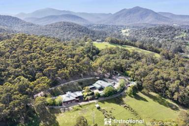 House For Sale - VIC - Healesville - 3777 - Secluded Yarra Valley Retreat on Approx 70 Acres!  (Image 2)
