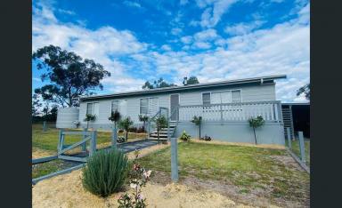 Acreage/Semi-rural For Sale - NSW - Warialda - 2402 - Rural/Lifestyle Living - All the hard work is done  (Image 2)