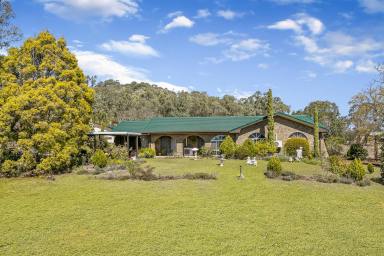 House For Sale - QLD - Torrington - 4350 - Versatile Lifestyle Property - 4.77 Acres - Relaxed Country Living or Potential For Home Business.  (Image 2)