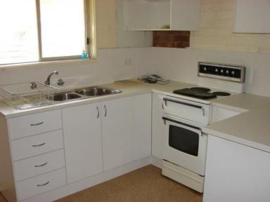 Apartment For Lease - NSW - Muswellbrook - 2333 - A NEAT AND TIDY ONE BEDROOM FLAT IN A VERY CONVENIENT CENTRAL LOCATION  (Image 2)