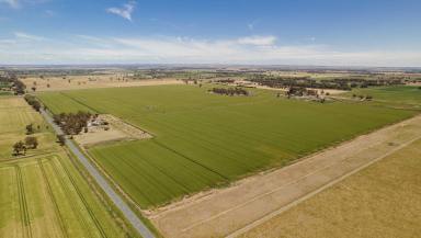 Cropping For Sale - VIC - Kyabram - 3620 - Eastern Aggregation KAF Portfolio  (Image 2)