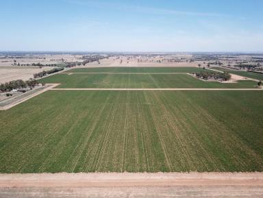 Cropping For Sale - VIC - Tongala - 3621 - Northern Aggregation KAF Portfolio  (Image 2)