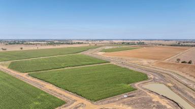 Cropping For Sale - VIC - Tongala - 3621 - Pykes, McKenzie Road, Tongala  (Image 2)