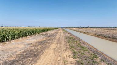 Cropping For Sale - VIC - Tongala - 3621 - Pykes, McKenzie Road, Tongala  (Image 2)