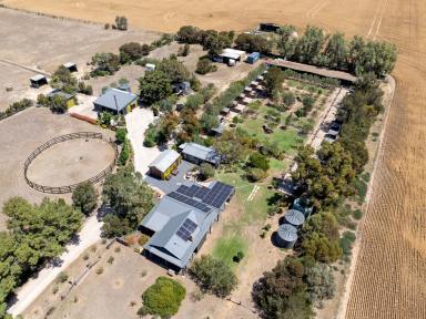 Other (Rural) For Sale - SA - Langhorne Creek - 5255 - DOG BREEDING, KENNELING, TRAINING, & GROOMING + HORSES.  (Image 2)