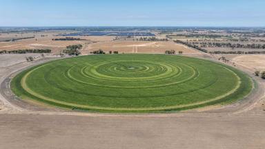 Cropping For Sale - VIC - Girgarre - 3624 - Rendell Dairy KAF Portfolio  (Image 2)
