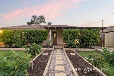 House Sold - WA - Kenwick - 6107 - Sprawling, Renovated Family Haven!  (Image 2)