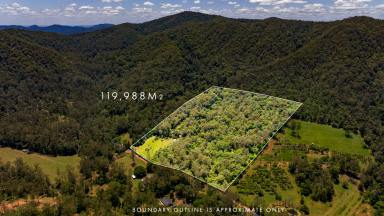 Acreage/Semi-rural For Sale - QLD - Bella Creek - 4570 - "Green and Clean" 2 Homes, 1 Property, Off Grid  (Image 2)