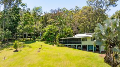 Acreage/Semi-rural For Sale - QLD - Bella Creek - 4570 - "Green and Clean" 2 Homes, 1 Property, Off Grid  (Image 2)