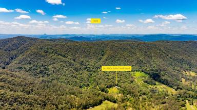 Acreage/Semi-rural For Sale - QLD - Bella Creek - 4570 - "Green and Clean" 2 Homes, 1 Property, Off Grid  (Image 2)