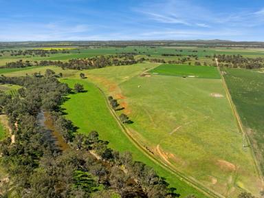 Lifestyle For Sale - VIC - Axedale - 3551 - Prime Agricultural Holding with Stunning River Frontage: Campaspe Rocks Angus Stud  (Image 2)