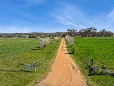 Lifestyle For Sale - VIC - Axedale - 3551 - Prime Agricultural Holding with Stunning River Frontage: Campaspe Rocks Angus Stud  (Image 2)