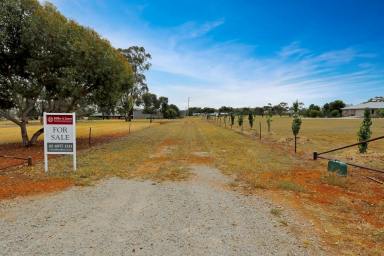 Residential Block For Sale - NSW - Temora - 2666 - WHY WAIT? BUILD YOUR DREAM NOW!  (Image 2)