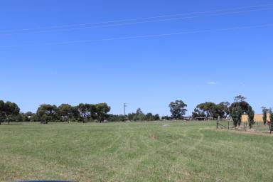 Residential Block For Sale - NSW - Temora - 2666 - WHY WAIT? BUILD YOUR DREAM NOW!  (Image 2)