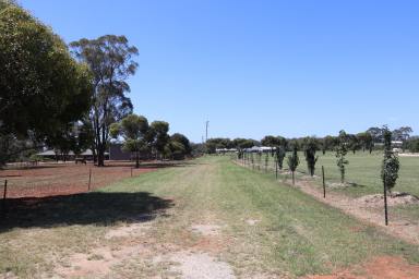 Residential Block For Sale - NSW - Temora - 2666 - WHY WAIT? BUILD YOUR DREAM NOW!  (Image 2)