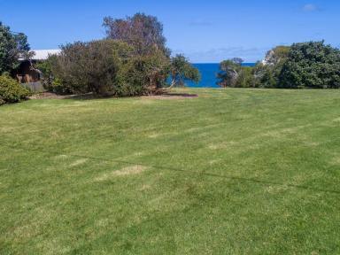 Residential Block For Sale - VIC - Marengo - 3233 - AT THE TOP OF THE HILL  (Image 2)