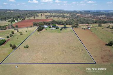 Lifestyle For Sale - NSW - Inverell - 2360 - 4 HECTARES, 3 BEDROOMS, ENDLESS POTENTIAL  (Image 2)