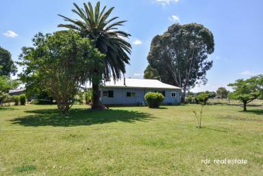 Lifestyle For Sale - NSW - Inverell - 2360 - 4 HECTARES, 3 BEDROOMS, ENDLESS POTENTIAL  (Image 2)